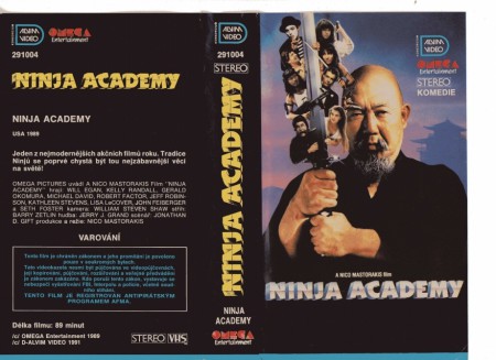 291004 - Ninja Academy